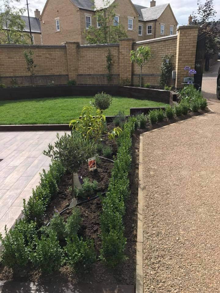 Planted borders with shaped hedging, specimen trees and a gravel driveway in the finished grounds by DNR Build