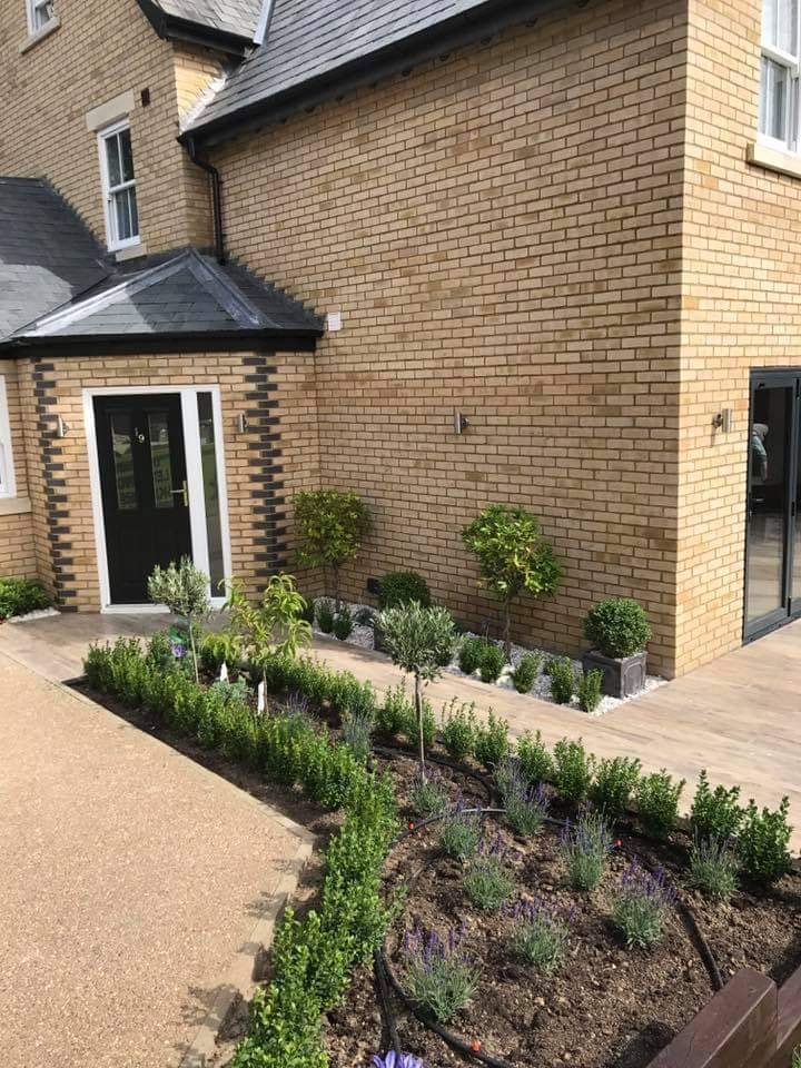 The front entrance and corner of the home with newly planted borders of box, lavender and standard trees by DNR Build